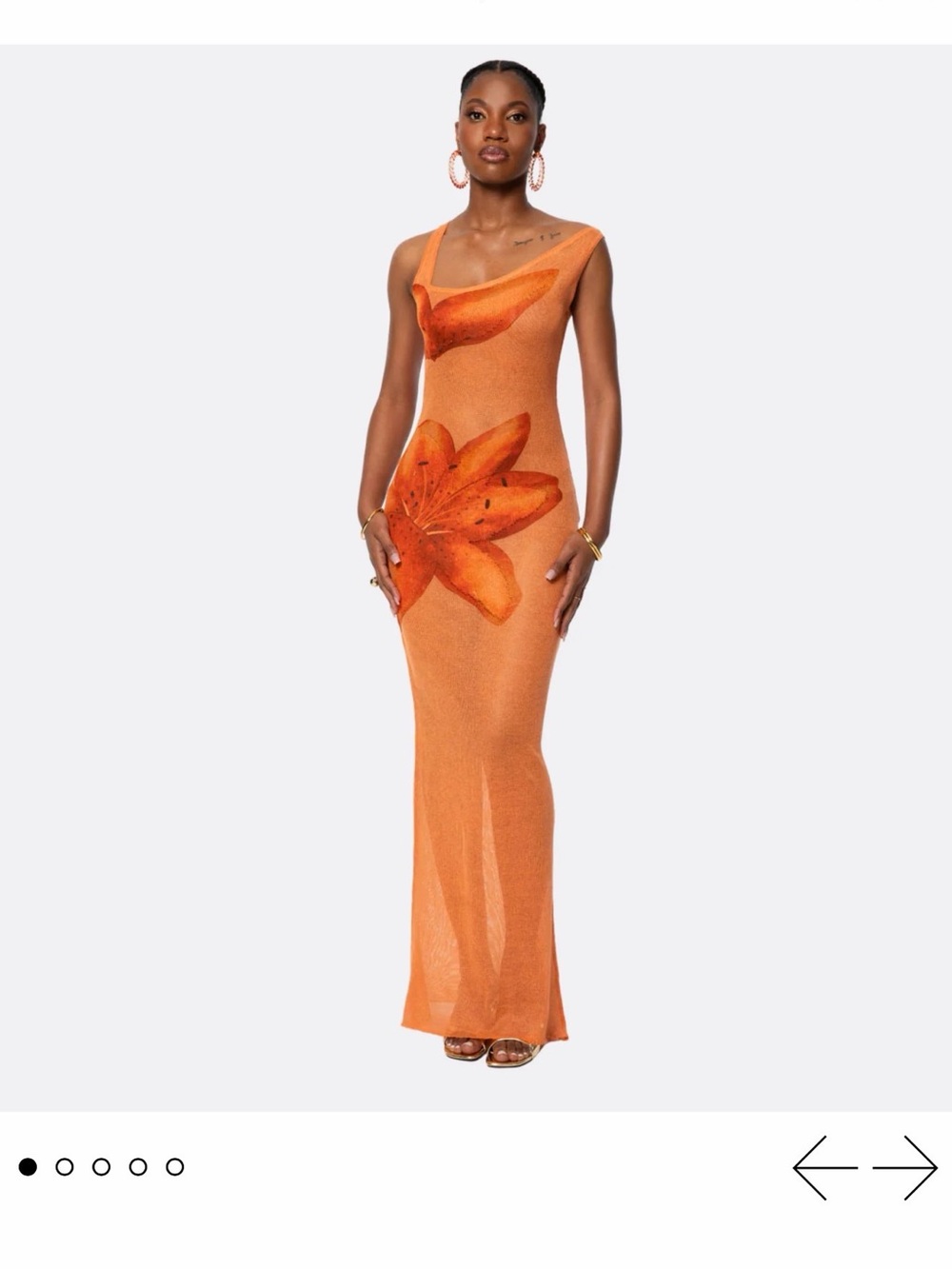 Hanifa Flora Sheer Maxi Dress NWT